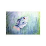 Kaart "Vis" | Fantastic Gifts
