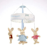 Pieter Konijn - Muziek Mobiel | Fantastic Gifts Shop