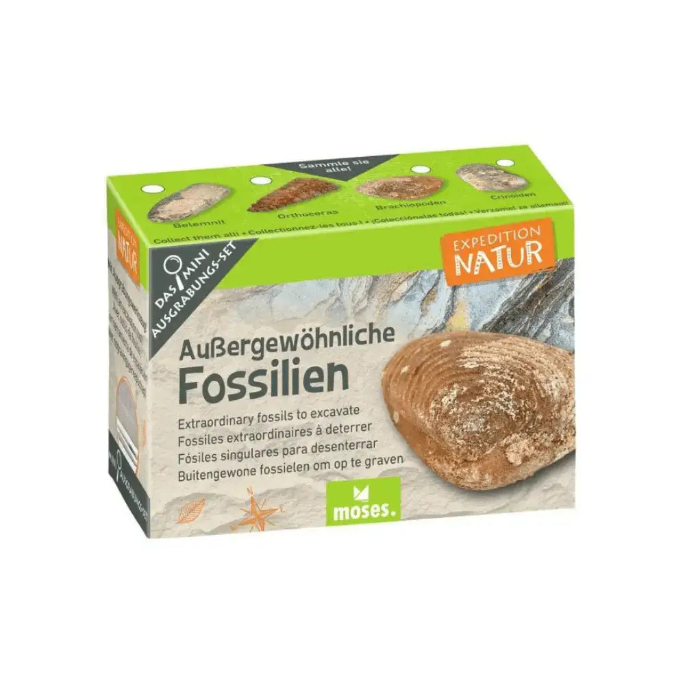 Expeditie Natuur - Uithakset Klein Fossielen