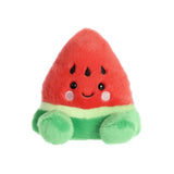 Palm Pals - Watermeloen | Fantastic Gifts