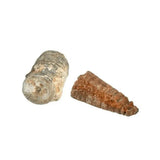 Expeditie Natuur - Uithakset Klein Fossielen| Fantastic Gifts Shop
