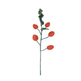 Tak Lampionplant | Fantastic Gifts Shop